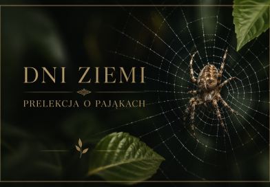 PRELEKCJA O PAJĄKACH W RAMACH OBCHODÓW DNIA ZIEMI